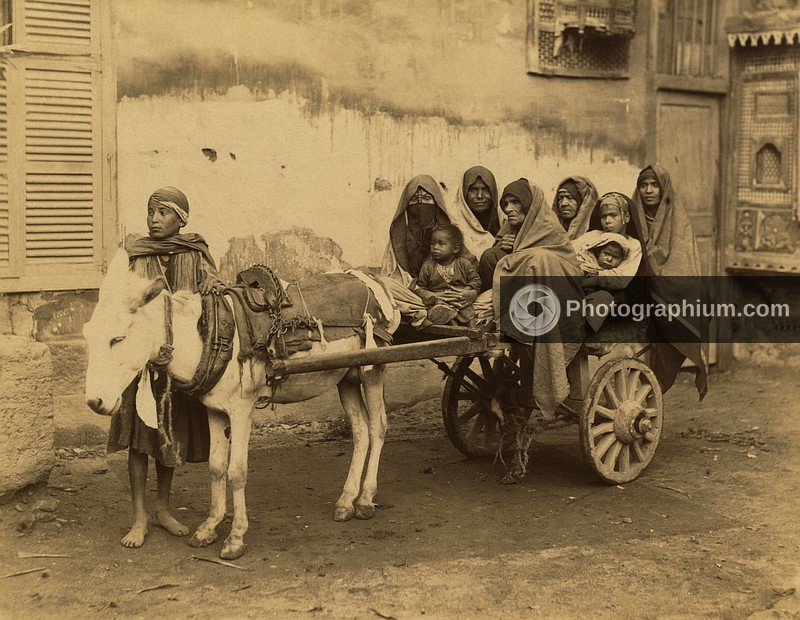 Donkey with cart holding eight Arab women and children. Egypt. 1867-1899