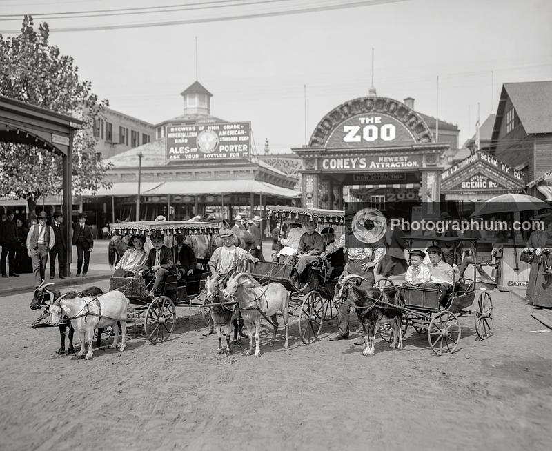 The Goat carriages, Coney Island. New York 1904