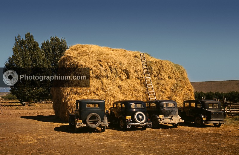 Haystack and the cars of peach pickers. Delta County, Colorado. 1940