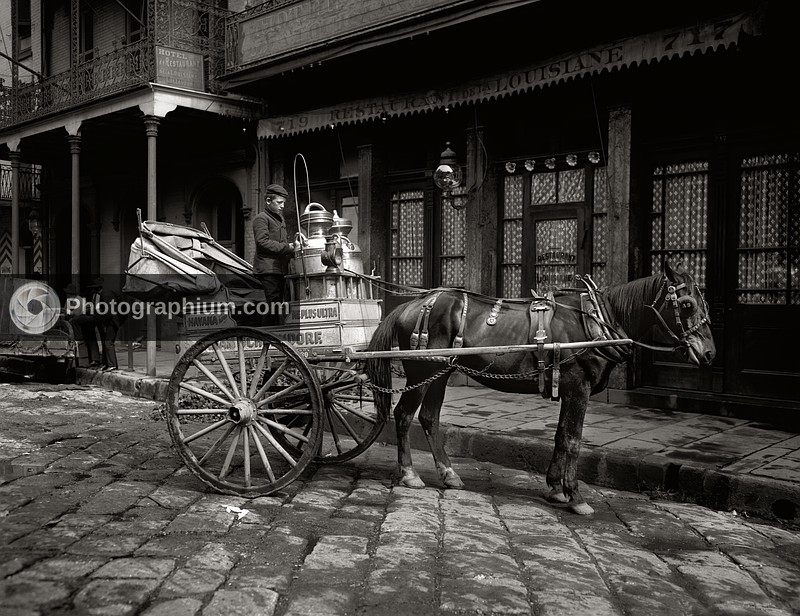 A New Orleans milk cart, New Orleans, Louisiana. 1903.