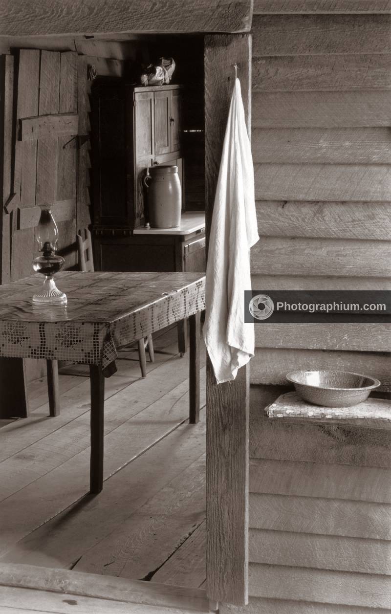 Part of the kitchen. Home of sharecropper Floyd Burroughs. Alabama. 1935