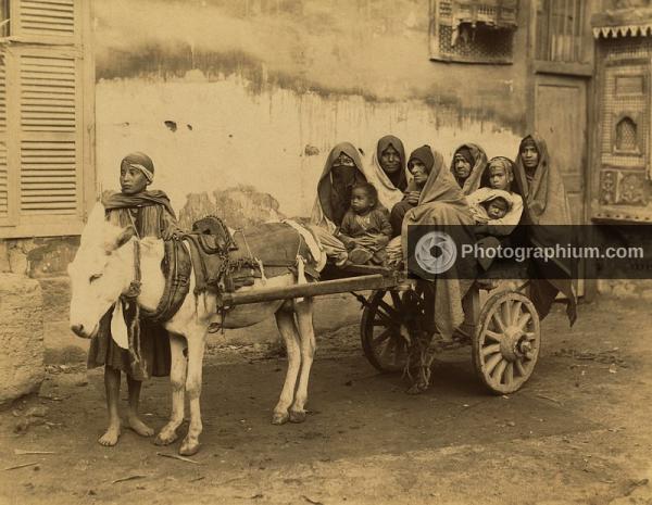 Donkey with cart holding eight Arab women and children. Egypt. 1867-1899
