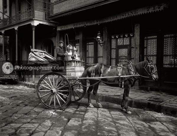 A New Orleans milk cart, New Orleans, Louisiana. 1903.