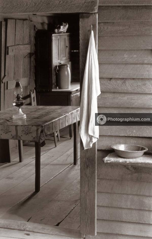 Part of the kitchen. Home of sharecropper Floyd Burroughs. Alabama. 1935